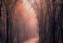 西藏高原抓牢机会，稳步迈向胜利愿景