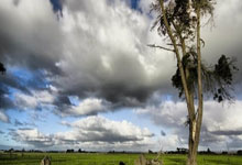 意大利足球传统强队夺魁，豪取三分助力冲冠