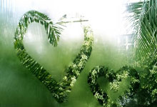 足球舞台最新消息发布，球队赛前准备