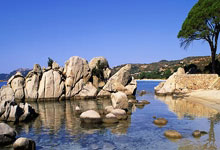 德国女足实力出击，夺取辉煌胜利——技术与心态的完美交响